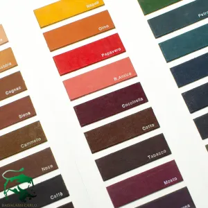 BADALASSI CARLO MINERVA COLOUR CARD