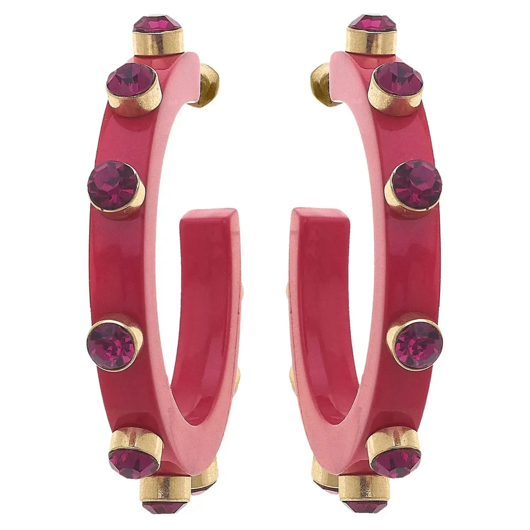 Renee Resin & Rhinestone Hoop Earring