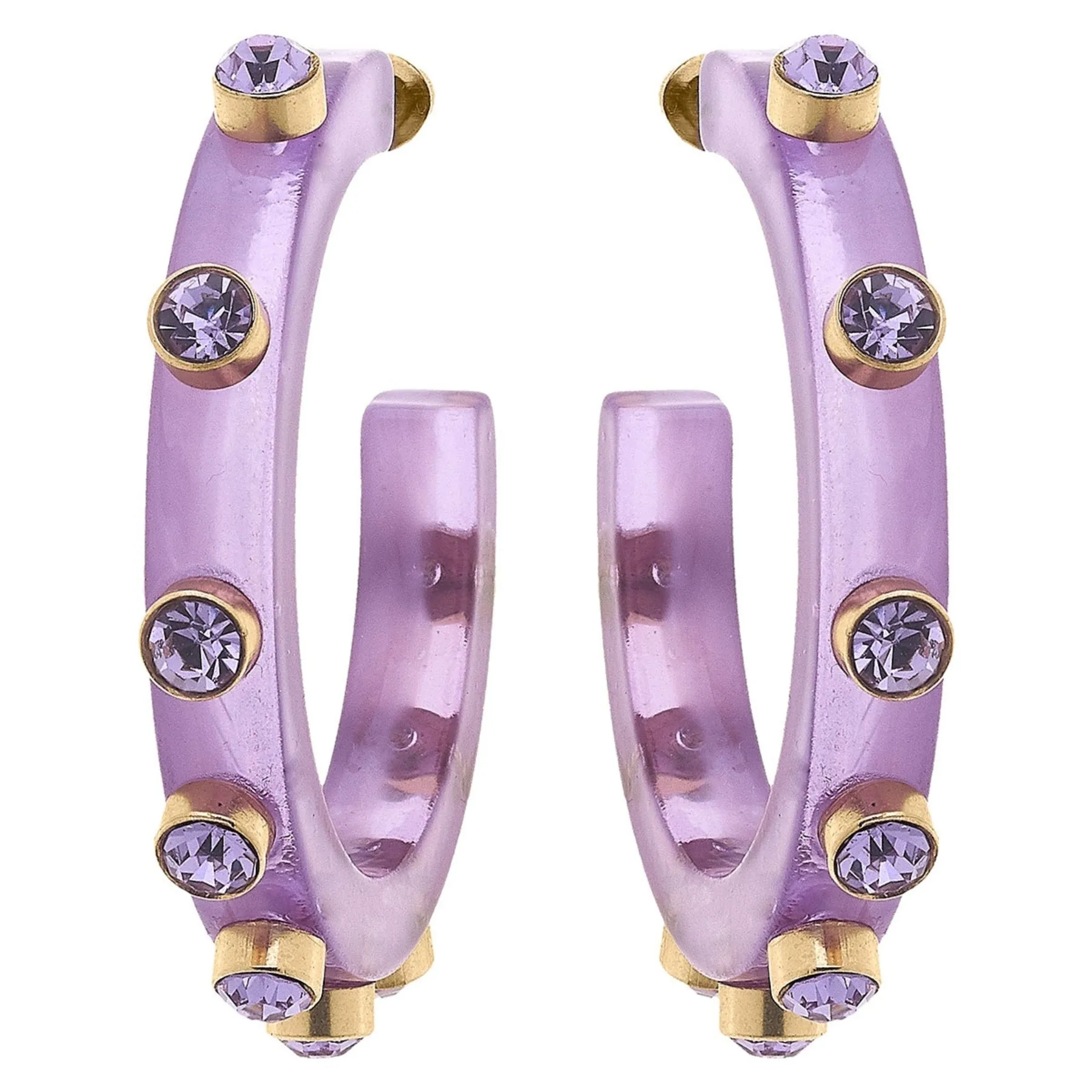 Renee Resin & Rhinestone Hoop Earring