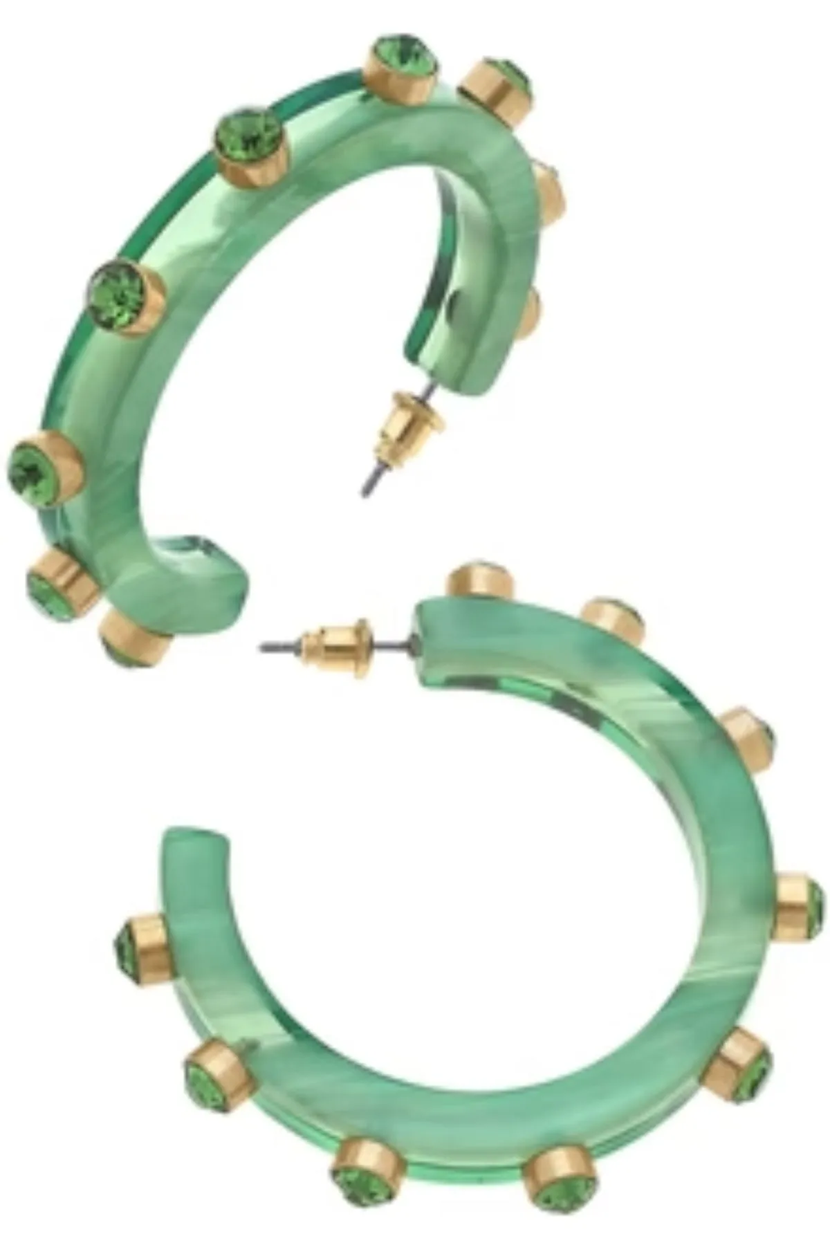 Renee Resin & Rhinestone Hoop Earring