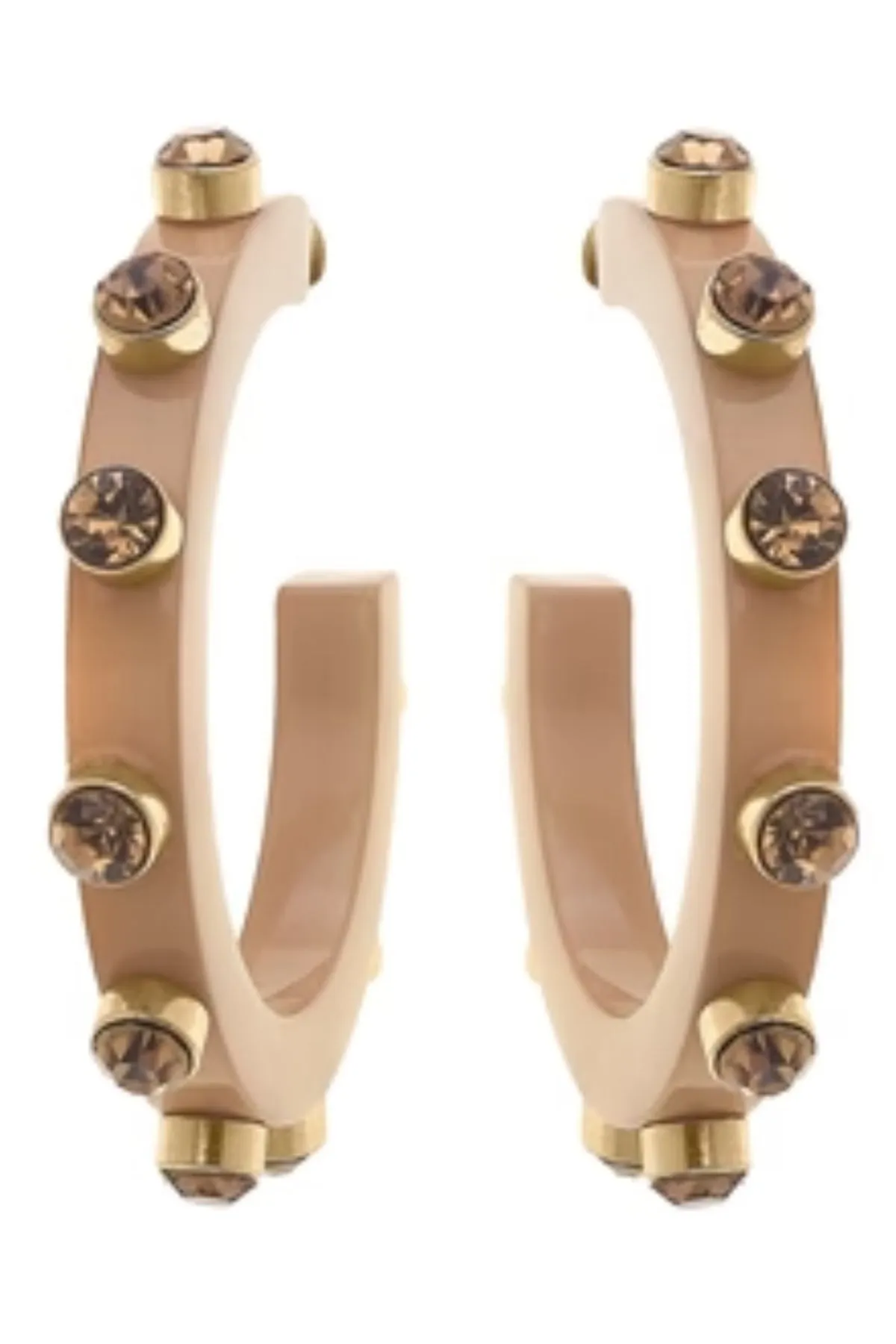Renee Resin & Rhinestone Hoop Earring