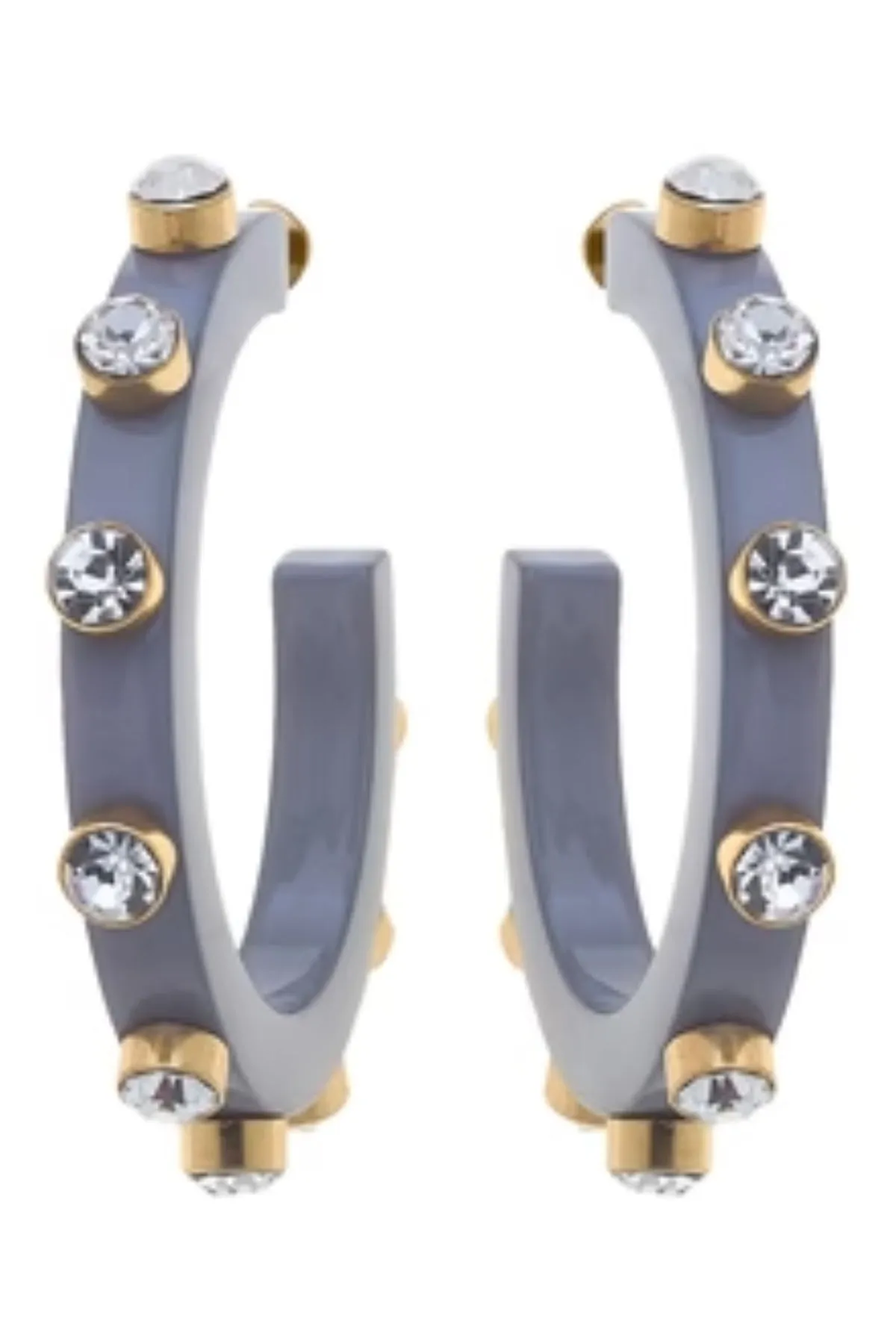 Renee Resin & Rhinestone Hoop Earring