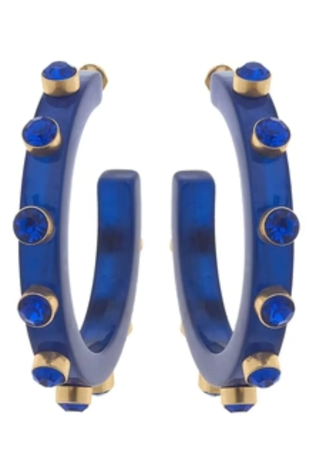 Renee Resin & Rhinestone Hoop Earring