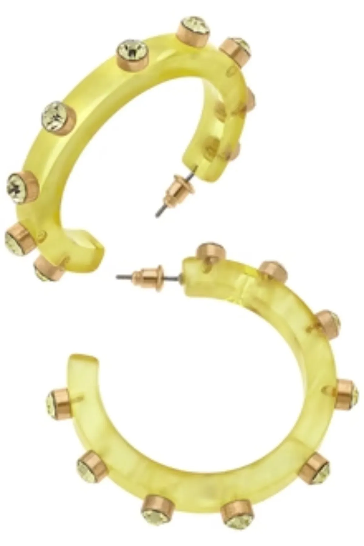 Renee Resin & Rhinestone Hoop Earring