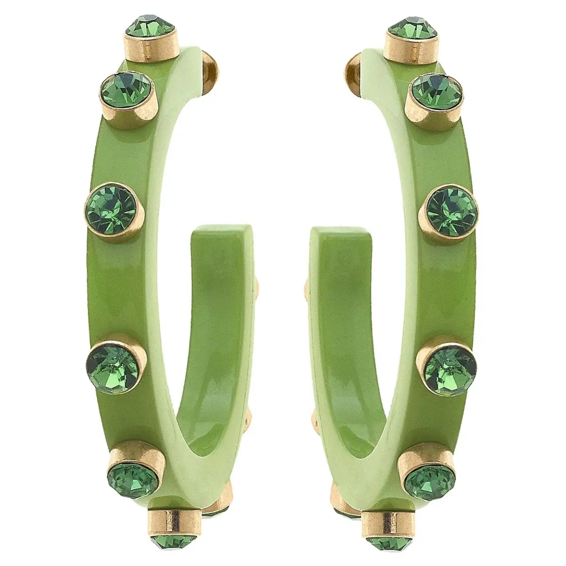 Renee Resin & Rhinestone Hoop Earring