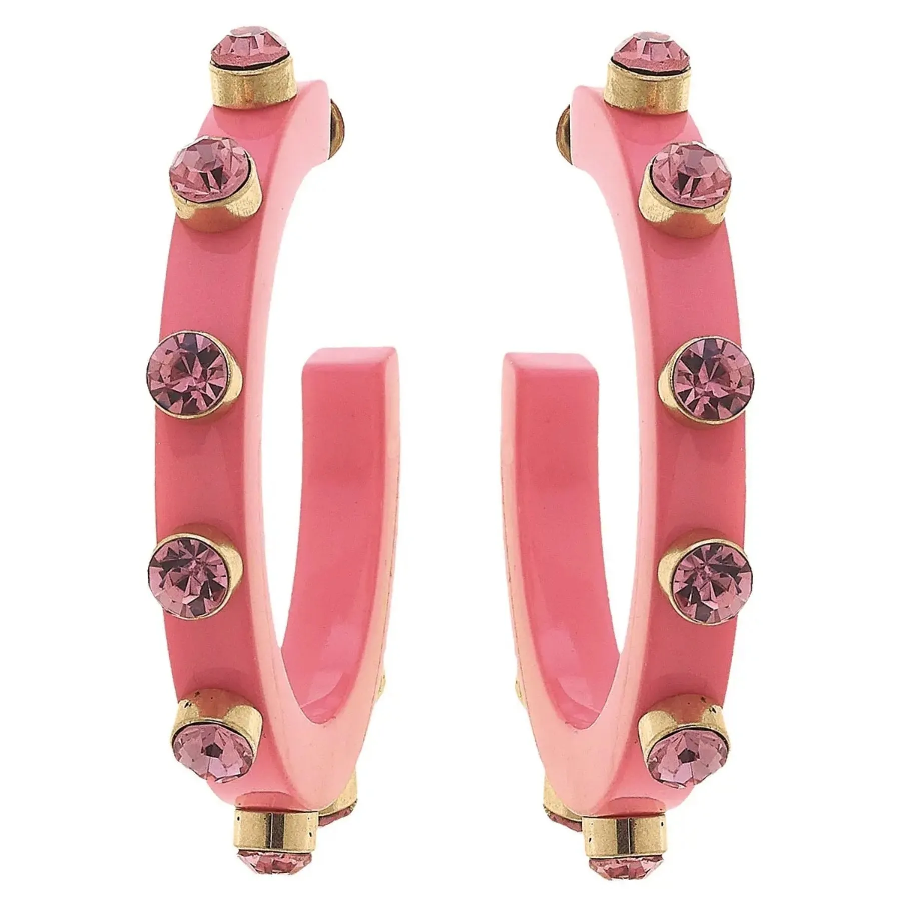Renee Resin & Rhinestone Hoop Earring