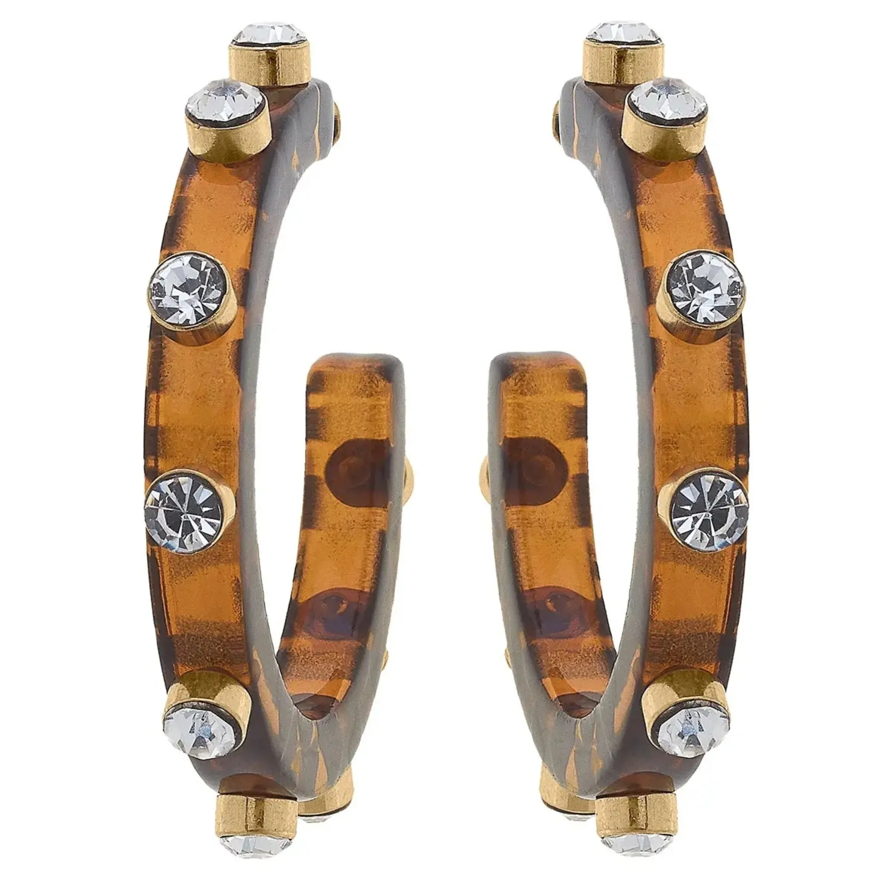 Renee Resin & Rhinestone Hoop Earring