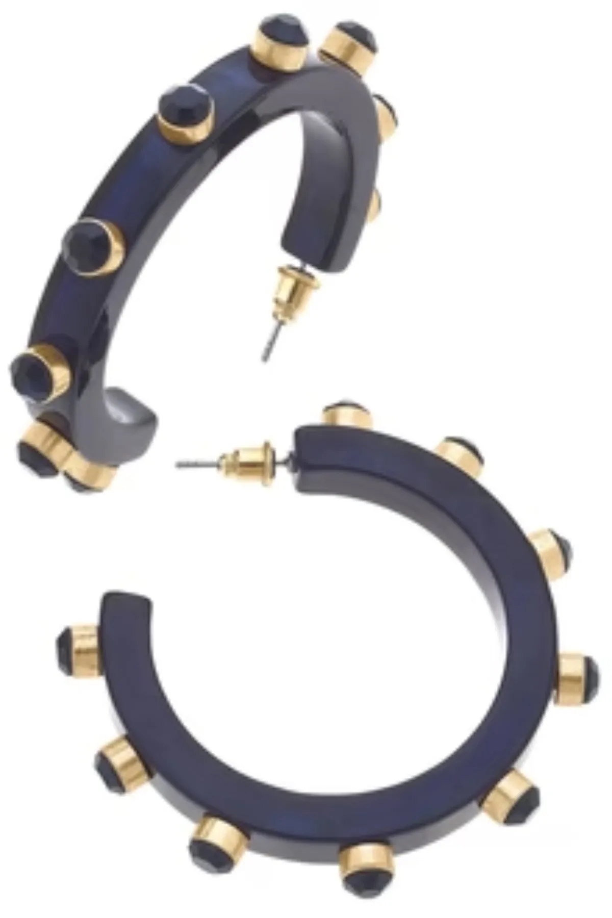Renee Resin & Rhinestone Hoop Earring
